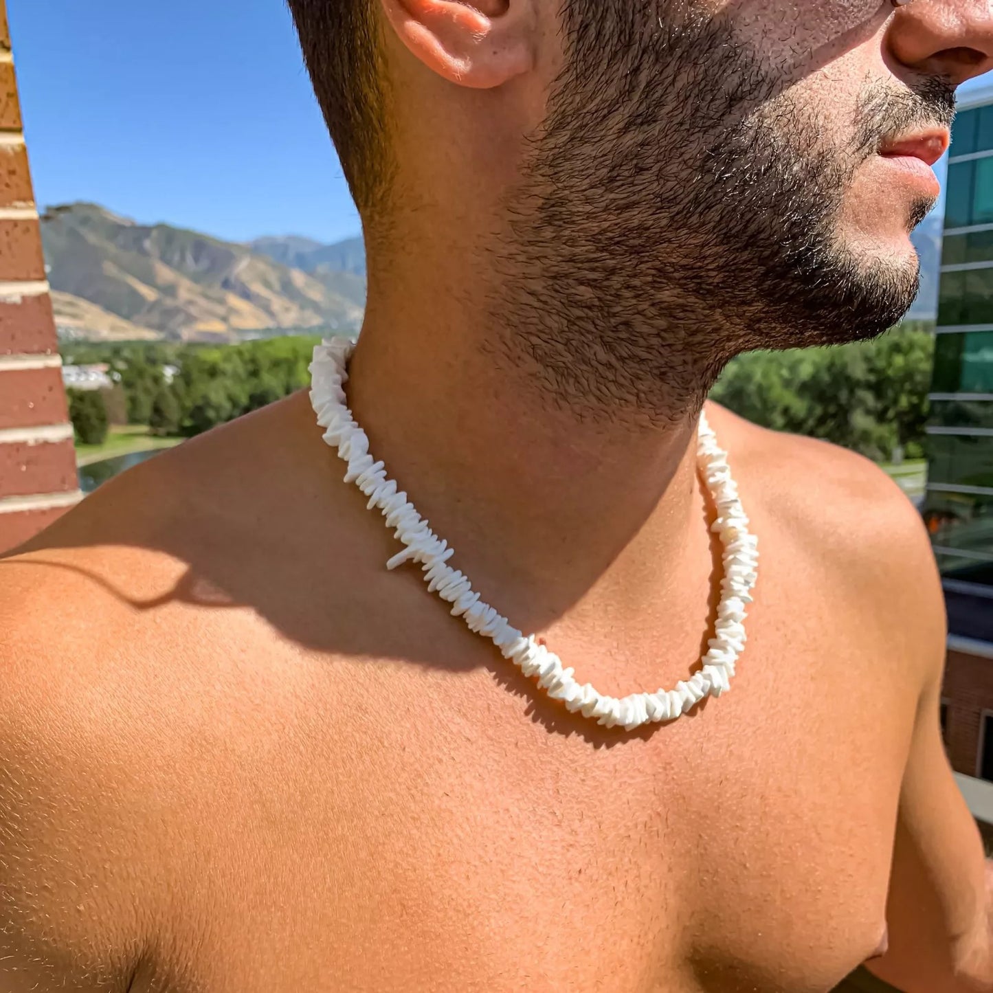 White Puka Shell Necklace