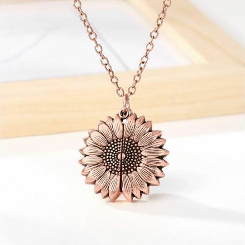 You are my Sunshine Rose Gold, Pink Locket Necklace